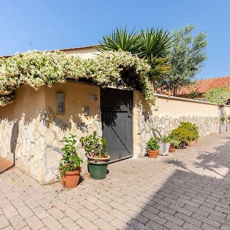 Casa “Oasi Del Mare” Apartment Livorno Exterior photo